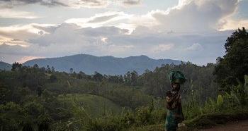 Natures Est de la RDC