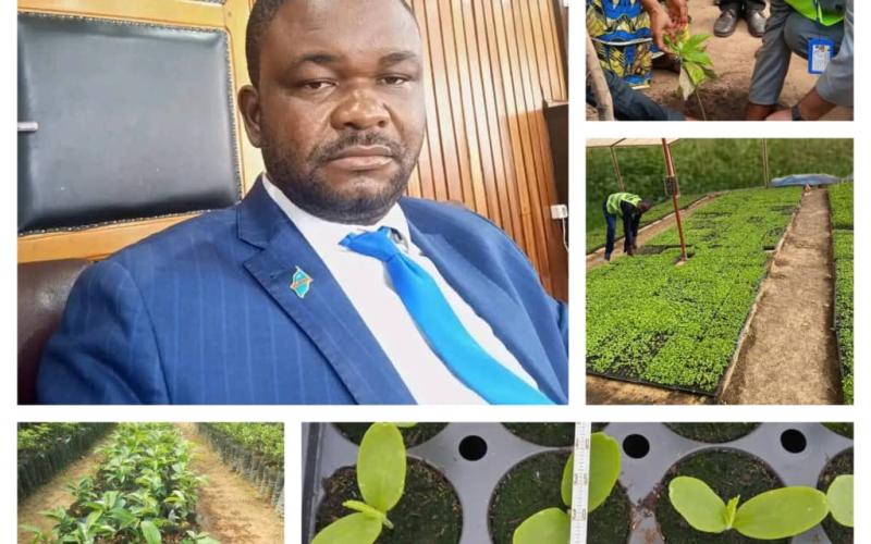 Genie Kande et environnement